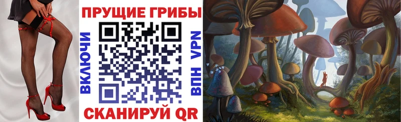 Псилоцибиновые грибы прущие грибы  Бабушкин 